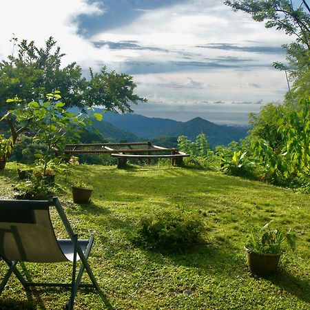 Hostal Vista Verde Minca Exteriér fotografie