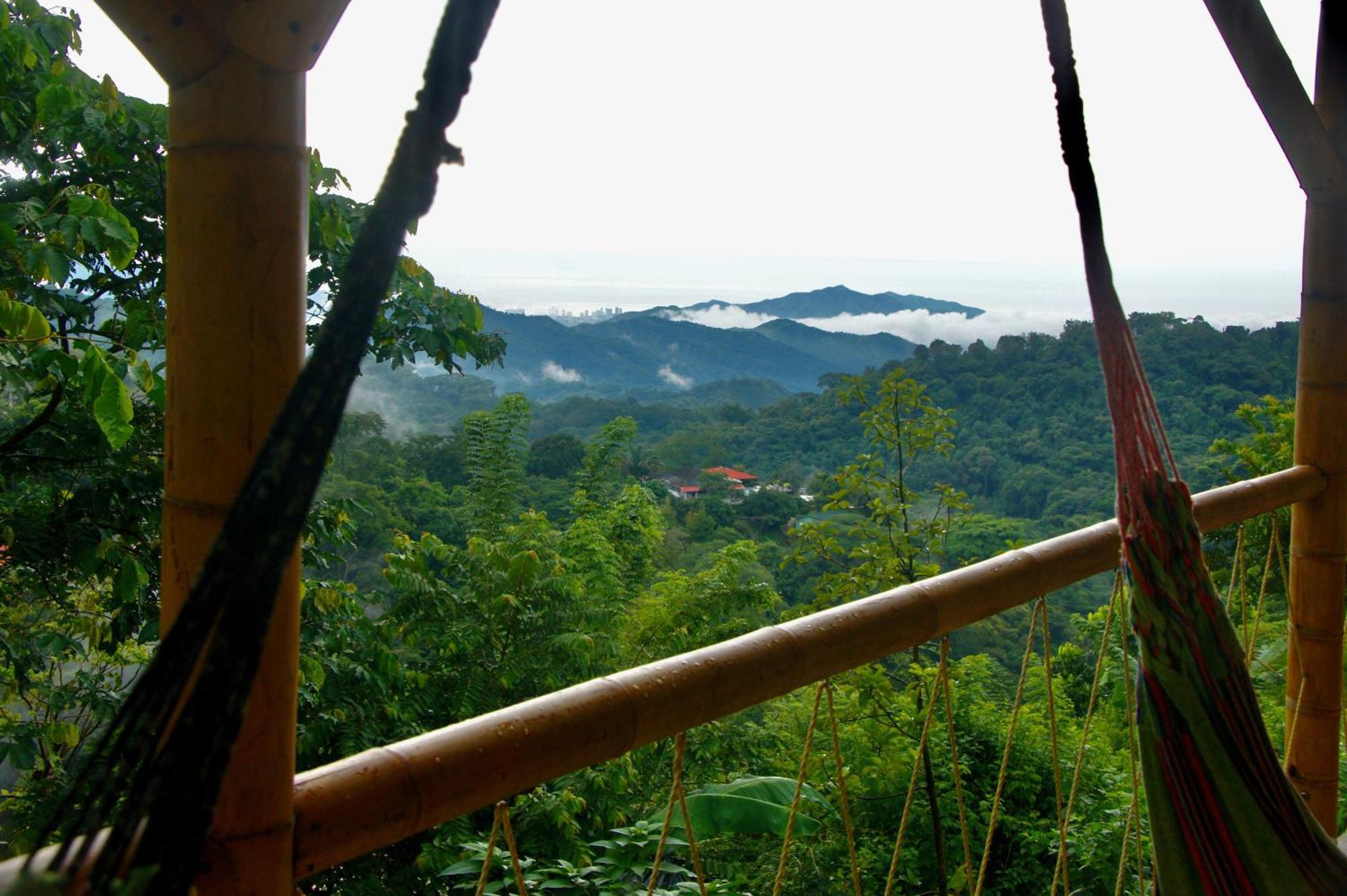 Hostal Vista Verde Minca Exteriér fotografie