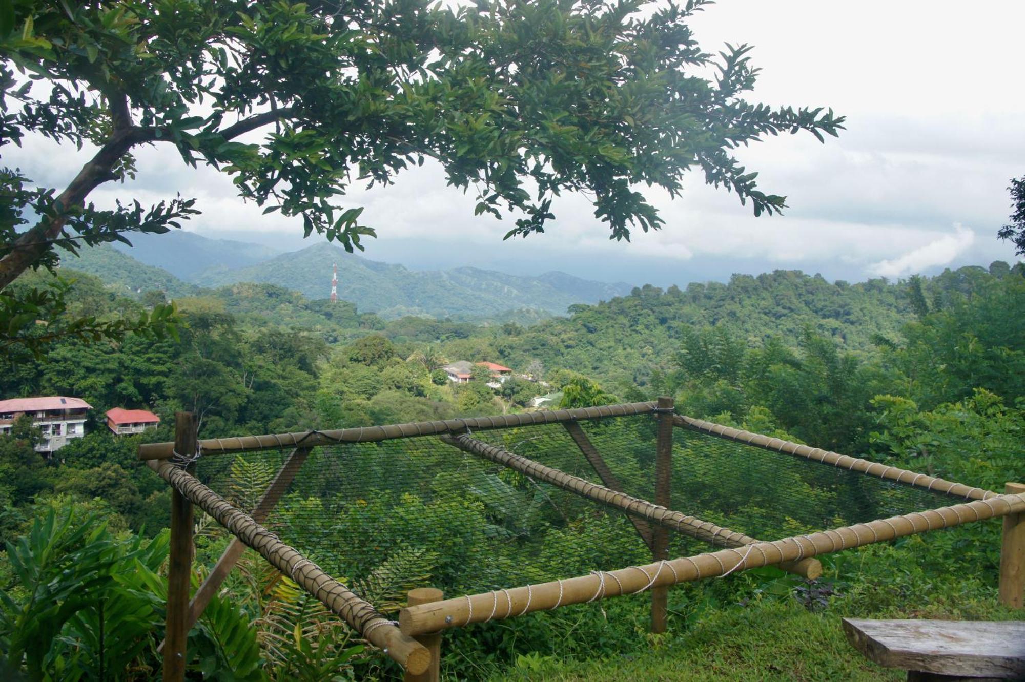 Hostal Vista Verde Minca Exteriér fotografie